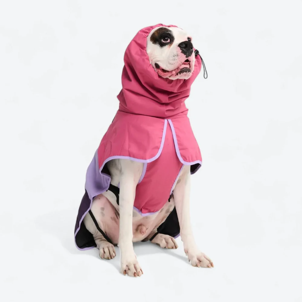 Product image 95