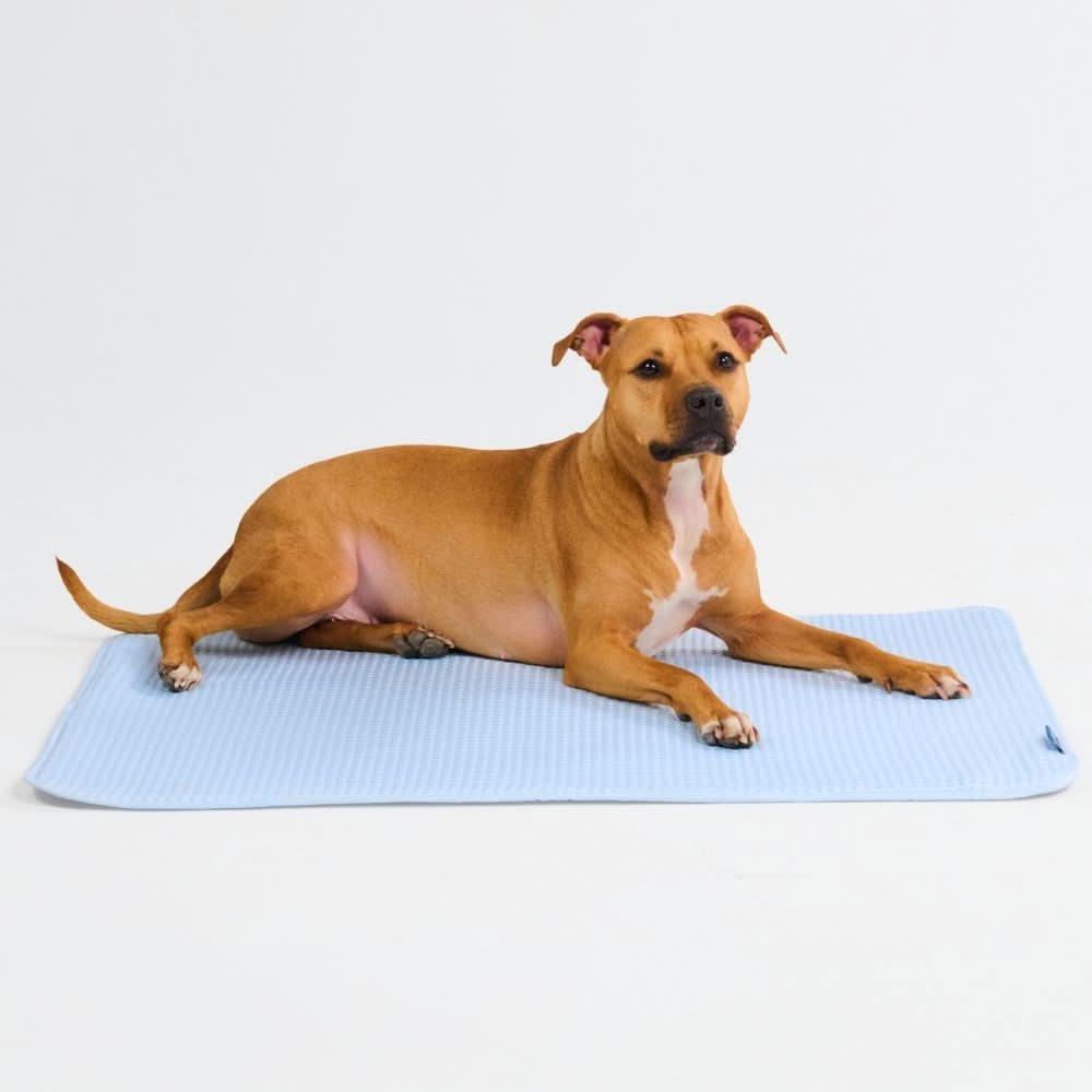 Product image 84