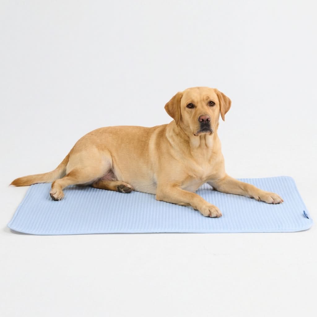 Product image 85