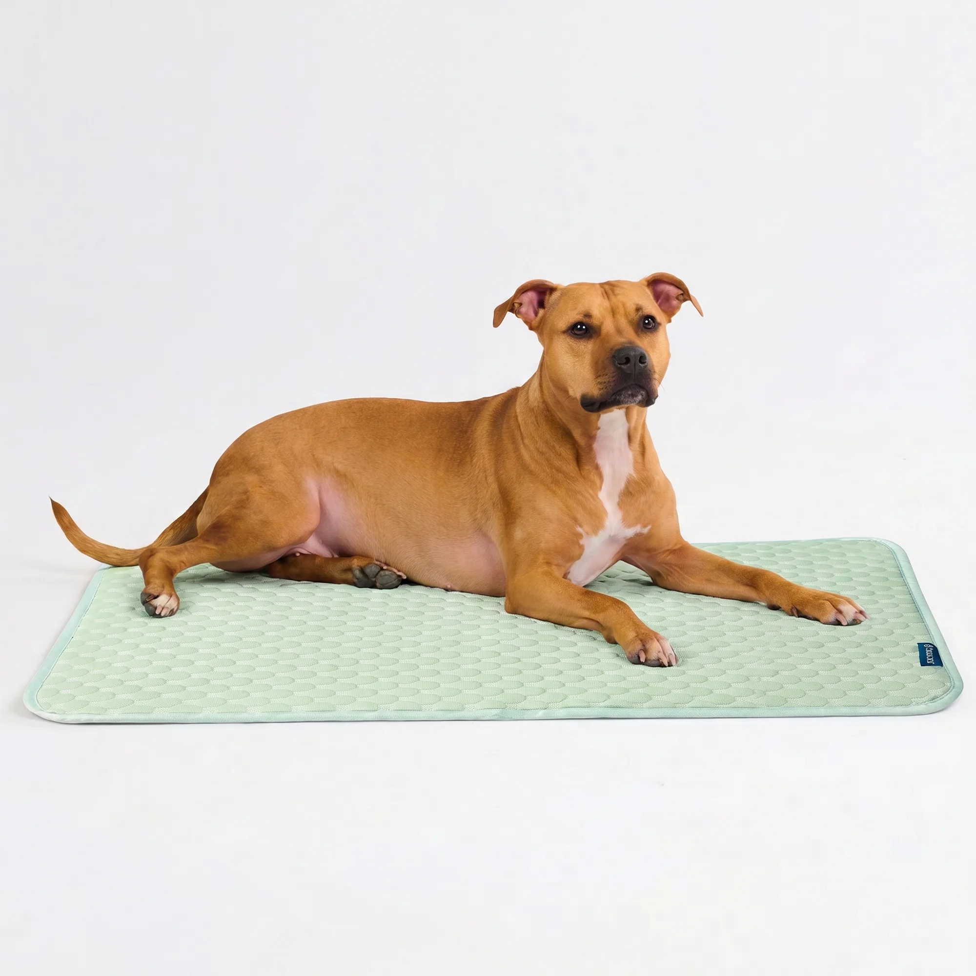 Product image 75
