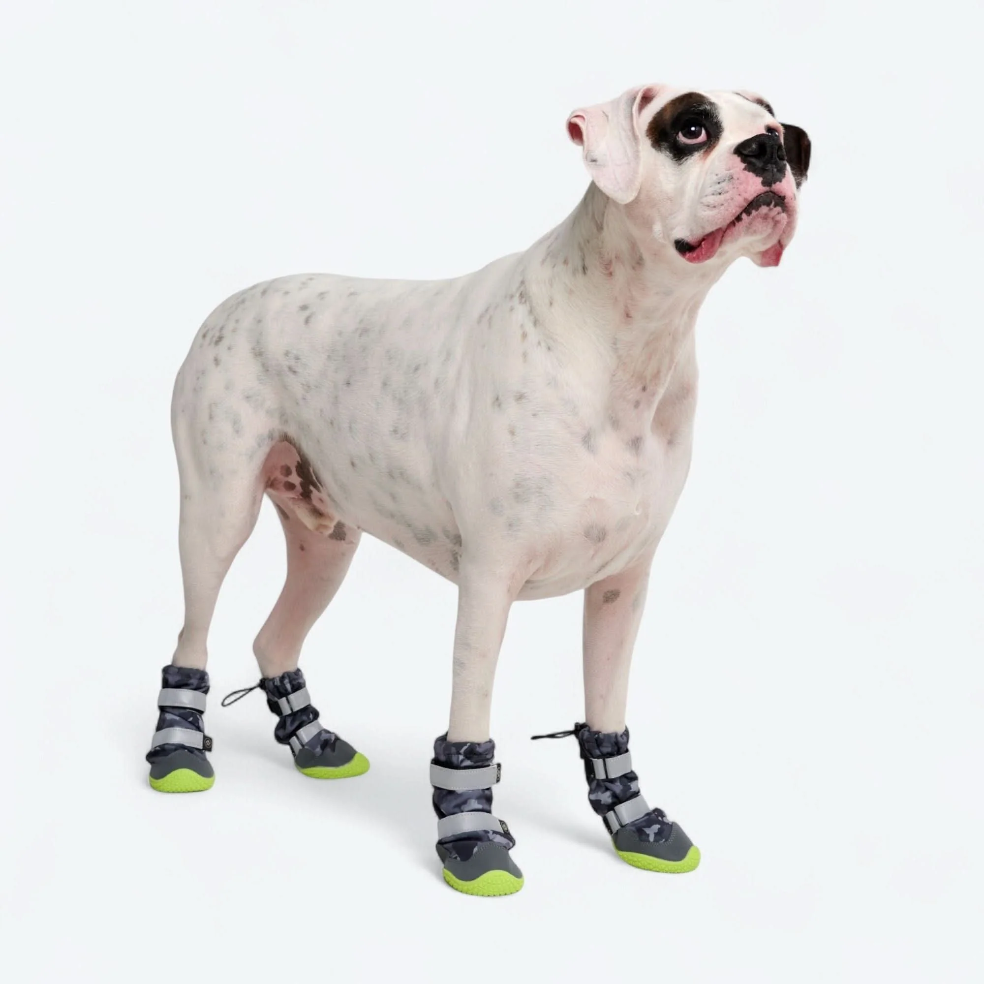 Product image 54